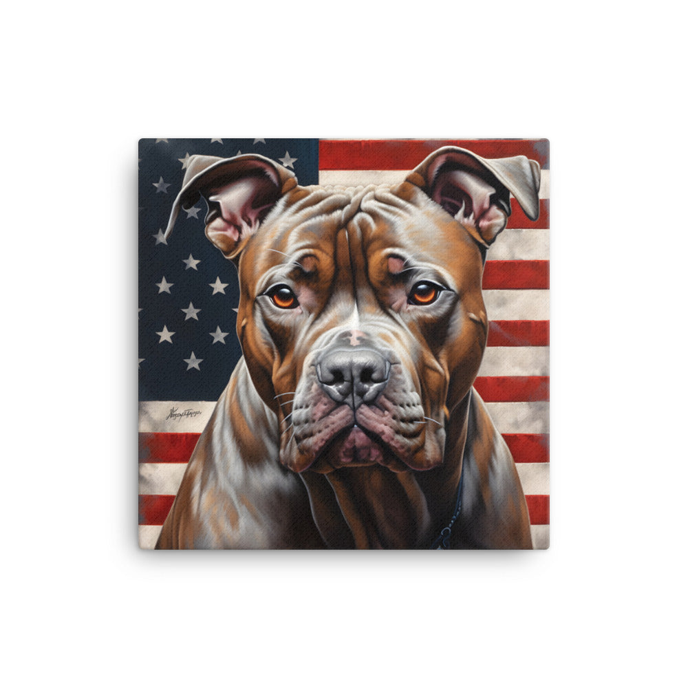 American Pit 2