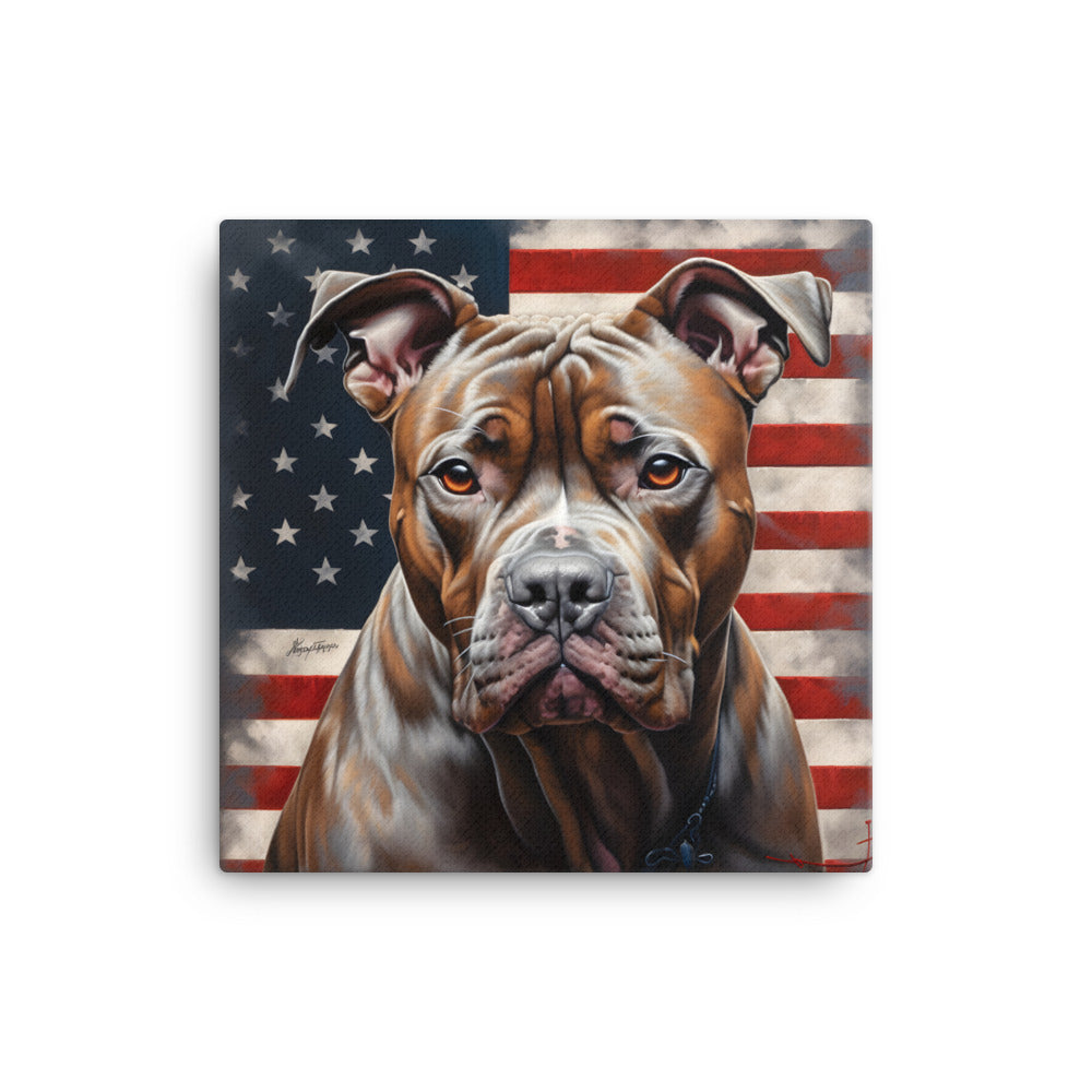 American Pit 2