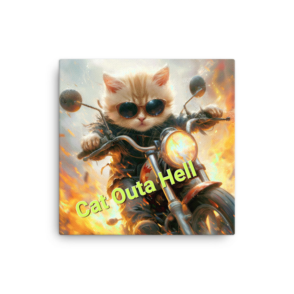 Cat Outa Hell