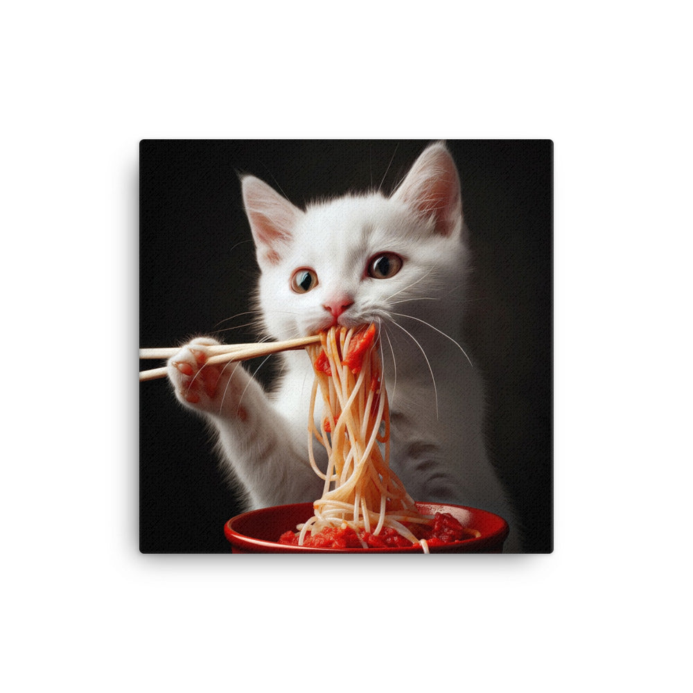 Cat & Spagetti