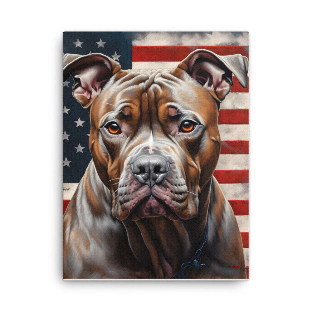 American Pit 2